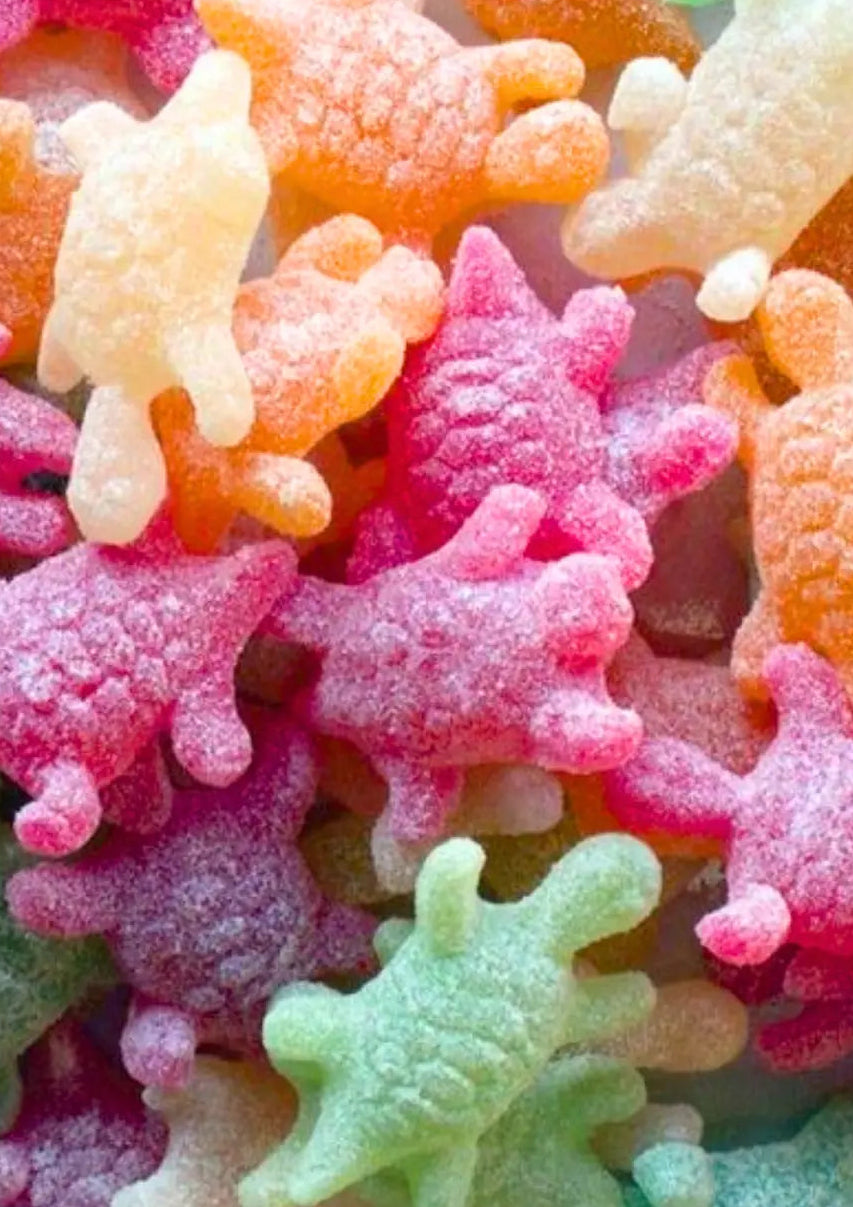 Tortue Citrique🍬Geldhof- 200g