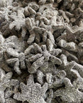 Araignée Sucrée 🍬 DAMEL - 100g