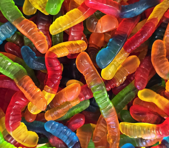 Vers de terre Lisse 🍬 DAMEL - 100g