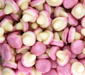Champignon Lisse🍬 DULCEPLUS - 100g