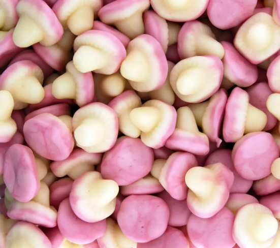 Champignon Lisse🍬 DULCEPLUS - 100g